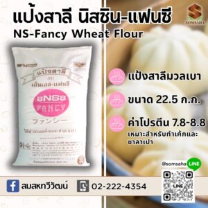 ns-fancy เอ็นเอส แฟนซี สมสหทวีวัฒน์