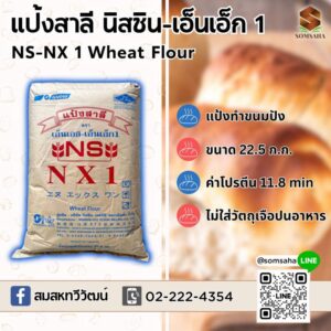 ns-nx1 เอ็นเอส เอ็นเอ็กวัน สมสหทวีวัฒน์